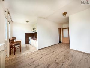 Pronájem bytu 1+1, Most, Javorová, 34 m2