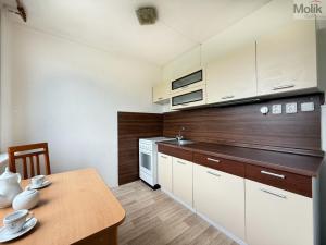 Pronájem bytu 1+1, Most, Javorová, 34 m2