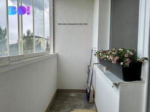 Prodej bytu 2+1, Vsetín, Bratří Hlaviců, 43 m2