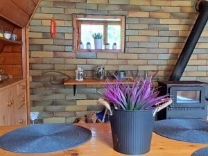 Prodej chaty, Kaplice, 80 m2
