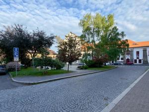Prodej bytu 1+1, Česká Lípa, náměstí Osvobození, 80 m2