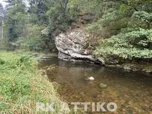 Prodej chaty, Žďárec, 85 m2