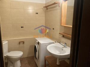 Pronájem bytu 1+1, Frýdek-Místek - Místek, Anenská, 38 m2