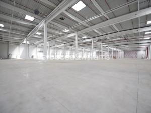 Pronájem výrobních prostor, Ostrava, Halasova, 5168 m2