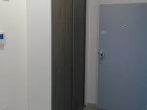 Pronájem bytu 1+kk, Praha - Dejvice, Lindleyova, 46 m2
