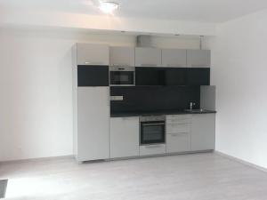 Pronájem bytu 1+kk, Praha - Dejvice, Lindleyova, 46 m2
