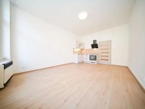 Pronájem bytu 1+kk, Praha - Nové Město, Vyšehradská, 30 m2