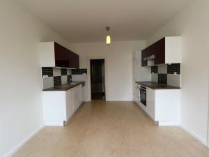 Pronájem bytu 2+kk, Plzeň - Východní Předměstí, Guldenerova, 47 m2