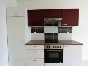 Pronájem bytu 2+kk, Plzeň - Východní Předměstí, Guldenerova, 47 m2