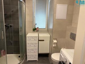 Prodej bytu 1+kk, Třebíč, Modřínová, 46 m2