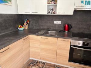Prodej bytu 1+kk, Třebíč, Modřínová, 46 m2