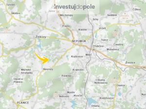 Prodej louky, Neurazy - Nová Ves u Nepomuka, 3979 m2