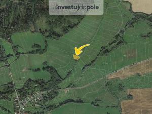 Prodej pole, Neurazy - Nová Ves u Nepomuka, 1677 m2