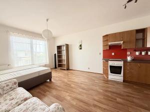 Pronájem bytu 1+kk, Plzeň, Květná, 33 m2
