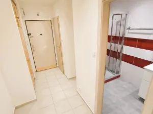 Pronájem bytu 2+1, Louny, Štefánikova, 56 m2