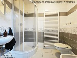 Pronájem kanceláře, Brno, Vídeňská, 25 m2