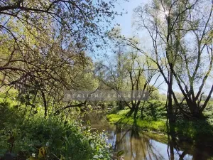 Prodej chaty, Pyšel, 160 m2