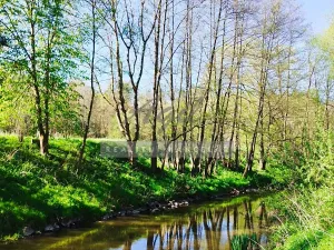 Prodej chaty, Pyšel, 160 m2