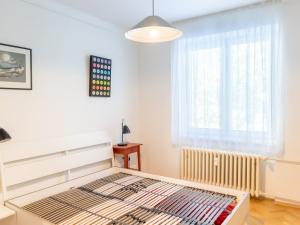 Pronájem bytu 2+1, Praha - Žižkov, Pod lipami, 53 m2