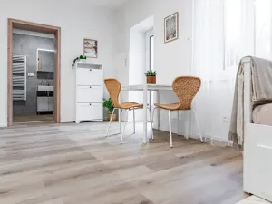 Pronájem bytu 1+kk, Brno, Boženy Němcové, 27 m2