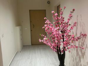 Prodej bytu 2+kk, Pastiçeri Pelikan Plazh,Drač,Albánie, 90 m2