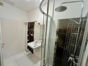 Pronájem bytu 3+kk, Praha - Vinohrady, Balbínova, 86 m2