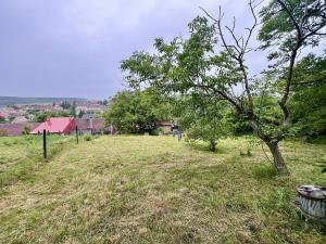 Prodej rodinného domu, Vraný, 100 m2