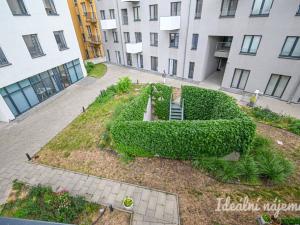 Pronájem bytu 4+kk, Brno, Křenová, 99 m2