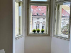 Pronájem bytu 2+kk, Praha - Dejvice, Pod kaštany, 60 m2