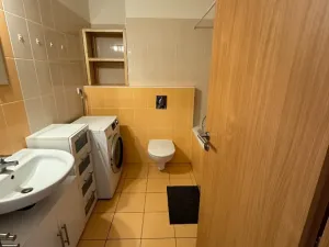 Pronájem bytu 1+kk, Brno, Říčanská, 38 m2