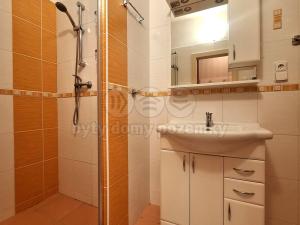 Pronájem bytu 3+1, Převýšov, 63 m2