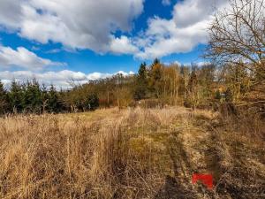 Prodej pozemku pro bydlení, Řepín, 707 m2