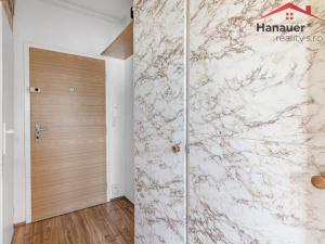 Prodej bytu 1+1, Ústí nad Labem - Mojžíř, Jindřicha Plachty, 35 m2