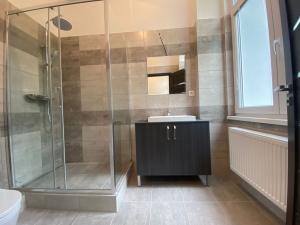 Pronájem bytu 2+kk, Ústí nad Labem - Střekov, Žukovova, 50 m2