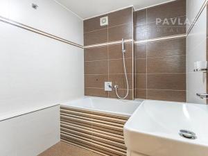 Prodej rodinného domu, České Budějovice, J. Buděšínského, 289 m2