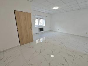 Pronájem bytu 1+kk, Teplice, U Červeného kostela, 40 m2