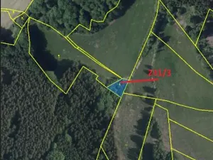 Prodej lesa, Střítež pod Křemešníkem, 608 m2