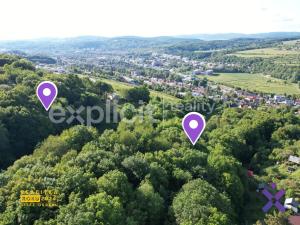 Prodej lesa, Zlín, Mařinková, 10191 m2
