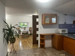 Pronájem rodinného domu, Dolní Domaslavice, 130 m2