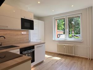 Prodej bytu 2+1, Havířov, Kubelíkova, 55 m2