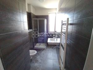 Pronájem bytu 1+kk, Olomouc, Janského, 33 m2