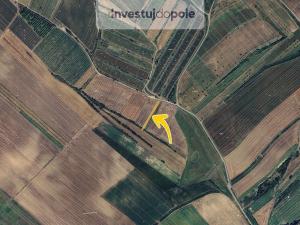 Prodej pole, Šardice, 1199 m2