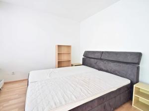 Pronájem bytu 3+kk, Brno - Staré Brno, Vodní, 80 m2