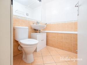 Pronájem bytu 2+kk, Praha - Vysočany, Skloněná, 44 m2