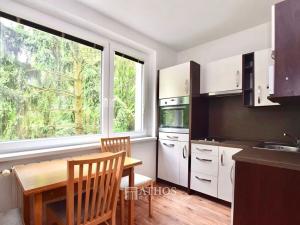 Pronájem bytu 1+1, Brno, Černého, 35 m2