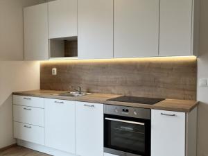 Pronájem bytu 1+kk, Brno - Trnitá, Křenová, 32 m2