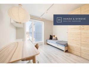 Pronájem bytu 1+kk, Brno, Chaloupkova, 22 m2