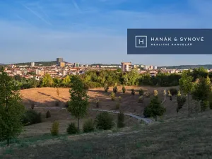 Pronájem bytu 1+kk, Brno, Chaloupkova, 22 m2