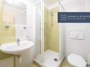 Pronájem bytu 1+1, Brno, Anenská, 41 m2