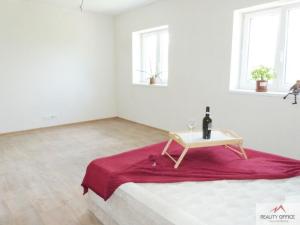 Pronájem bytu 1+1, Děčín - Děčín XXI-Horní Oldřichov, Alešova, 55 m2